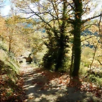 DSCN9070