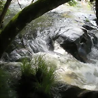 DSCN2824