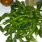 12092010663