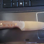 DSC07159