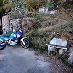 DSCN7704