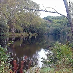 DSCN5297