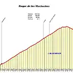 roque muchachos