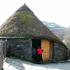 DSCN7785