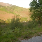 DSCN2141