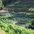 56-IMG_2397