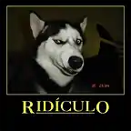 ridiculo