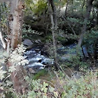 DSCN6235