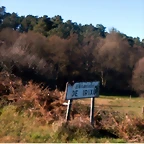 DSCN1364