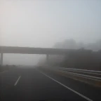 DSCN1220