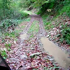 DSCN6285