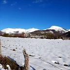 DSCN1941