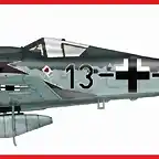 ha7405-fw190-priller-profile