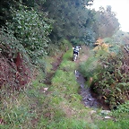 DSCN5288