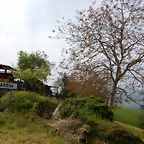 DSCN0218