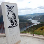 DSCN1873