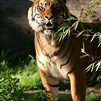 Zoo de Barcelona 07-04-11 716