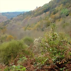 70-IMG_3948