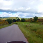 DSCN5211