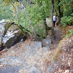 DSCN7960