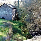 DSCN1031