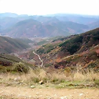 DSCN9528