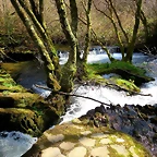 49-IMG_5287