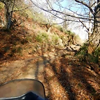 DSCN0136