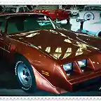 Trans am 79-81 TF-4201-P