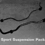 suspension