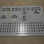 DSCN6135