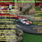 cartel campeonato andalucia