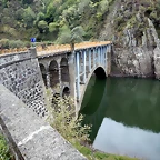 DSCN8415