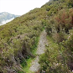 Sendero cui?a
