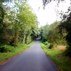 DSCN6391