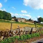DSCN6392