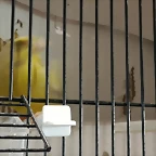 IMG_20170122_134412