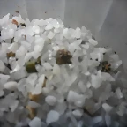 SAM_1403