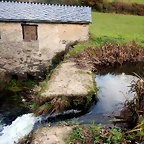 DSCN0582