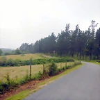 DSCN5775