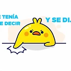 stqdysd
