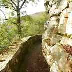 DSCN0507