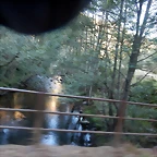 DSCN6231