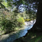 san martin de los andes 294