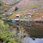 DSCN0207