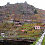 DSCN0181