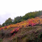 DSCN0176