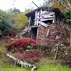 DSCN0245