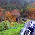 DSCN0316
