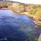 DSCN0139